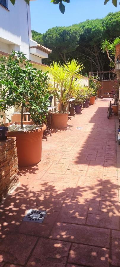 Chalet Con Capacidad Para 8 Personas Chiclana de la Frontera Luaran gambar
